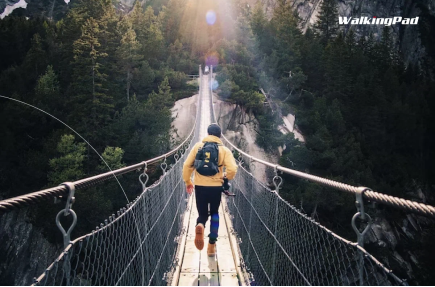 Гармония разума и тела. Как снять стресс и очистить мысли с помощью спорта ?